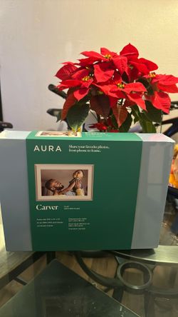 Aura Carver Brand New