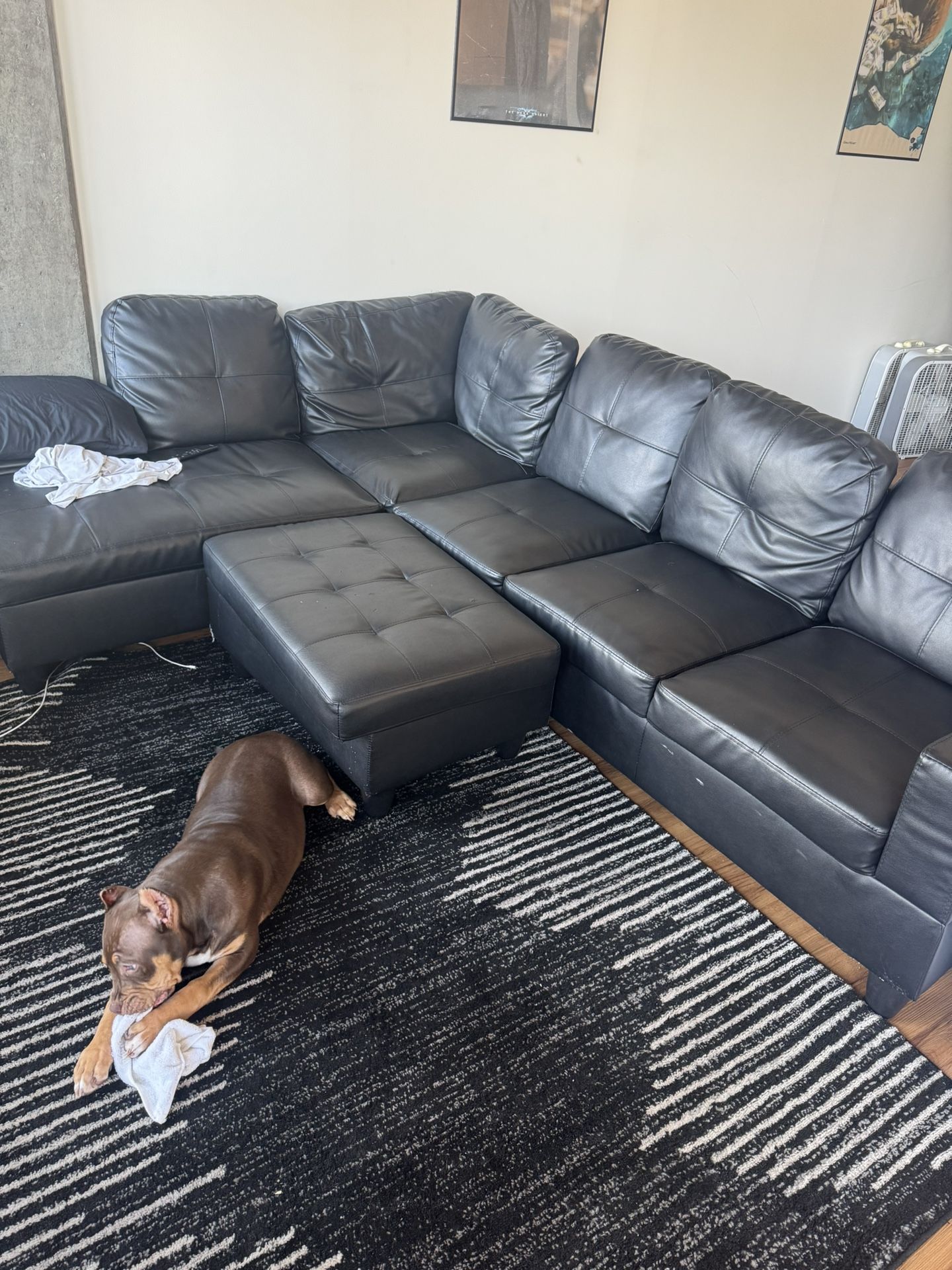 L Shaped Black Couch