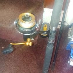 Fishing Reel and rod Penn 704z 