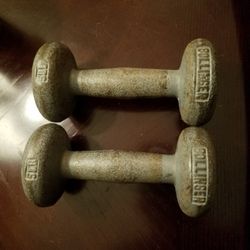 5 Lb Dumbells 