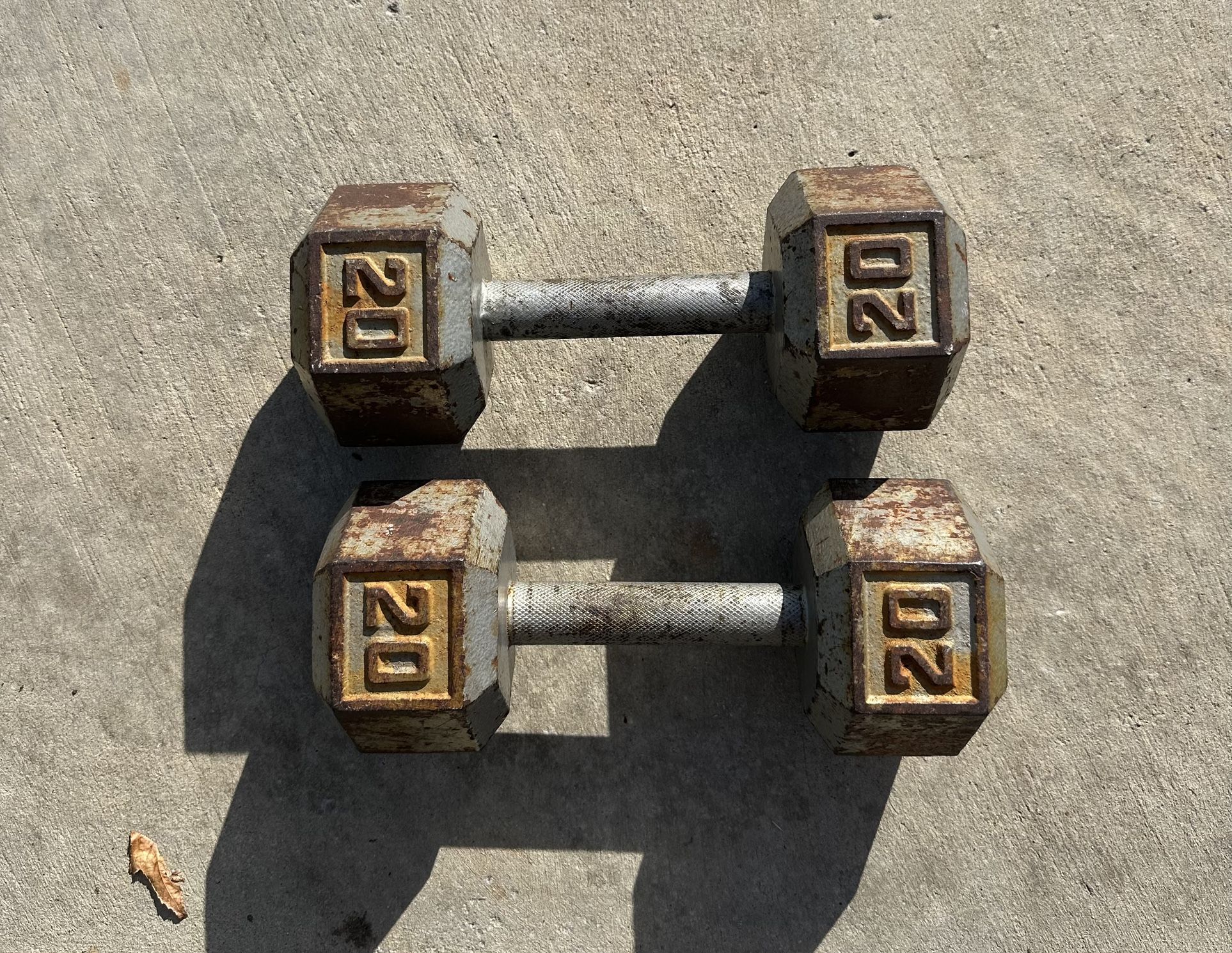 20 Pound Dumbbell 
