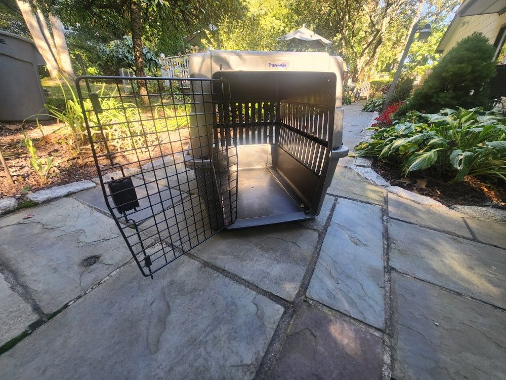Dog Home