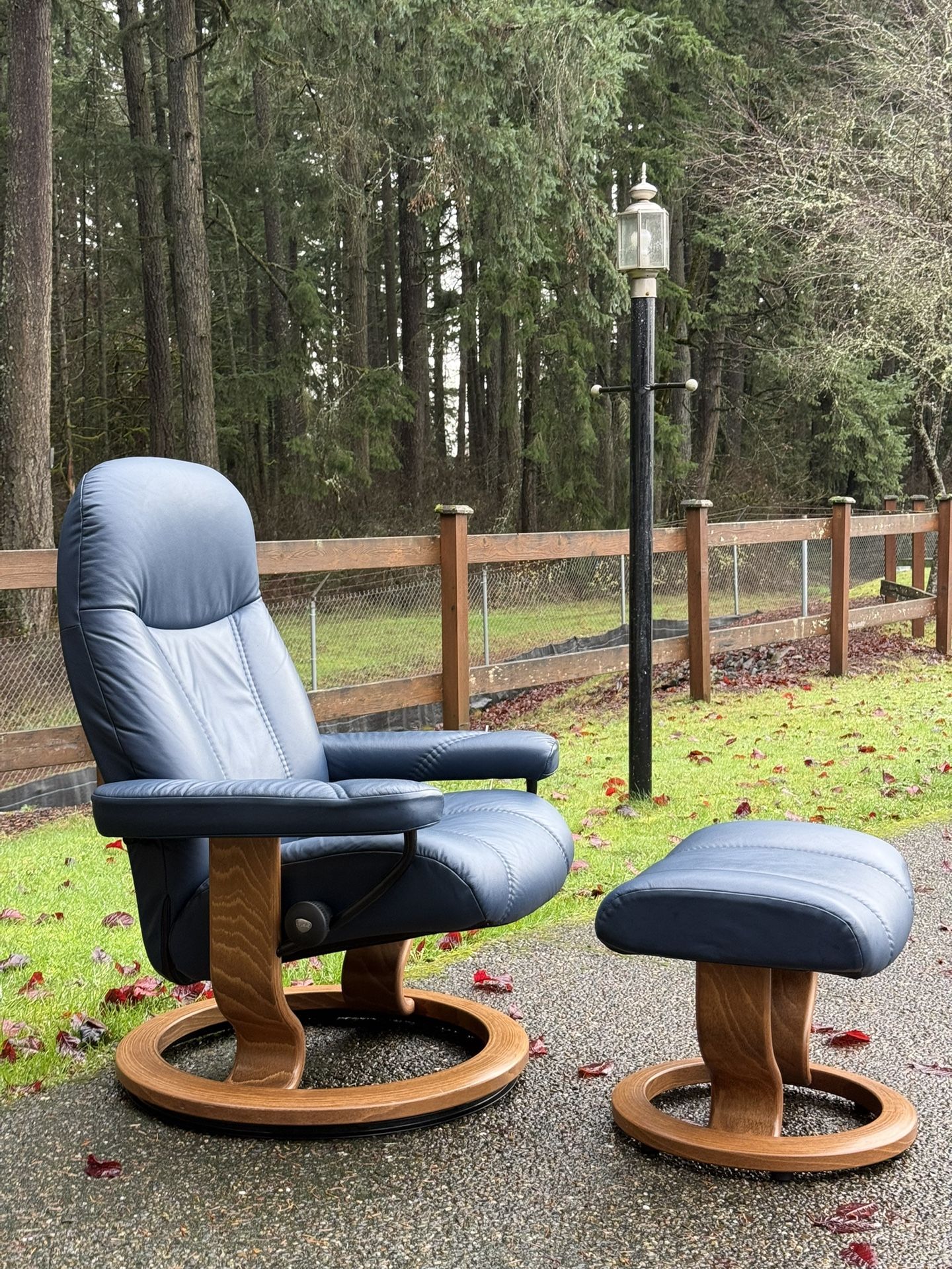 Ekornes Stressless Chair And Ottoman