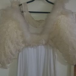 Angel Wings And Dresses