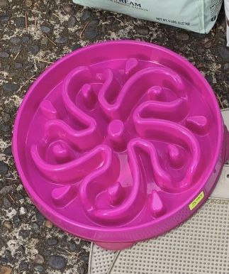 Dog Dish Slow Feeder
