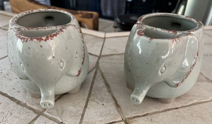 Elephant Tea Cups Set