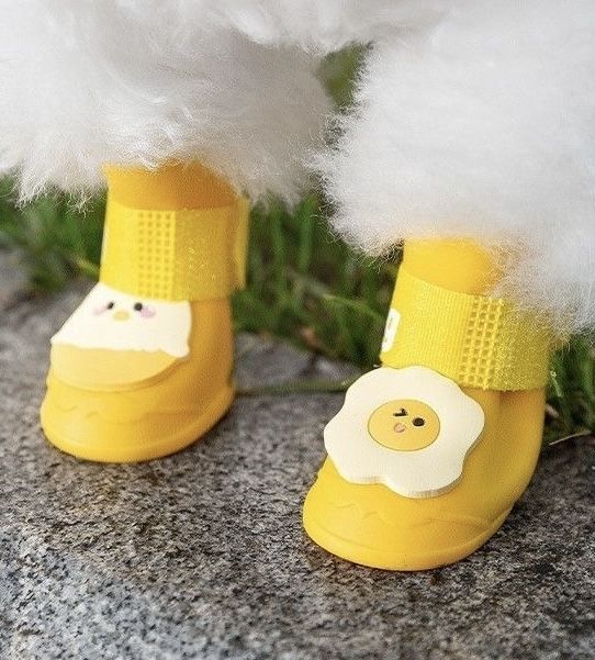 Dog Rain Boots
