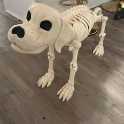 Skeleton Dog 