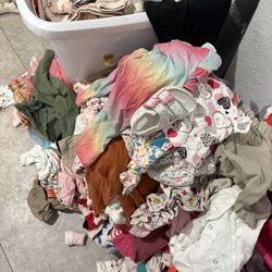 Baby girls clothes lot