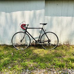 Schwinn World Sport Bike