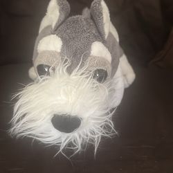 Schnauzer Dog