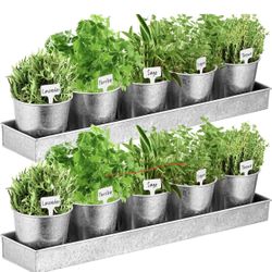2 Sets Herb Garden Planter Indoor Kit with Trey 