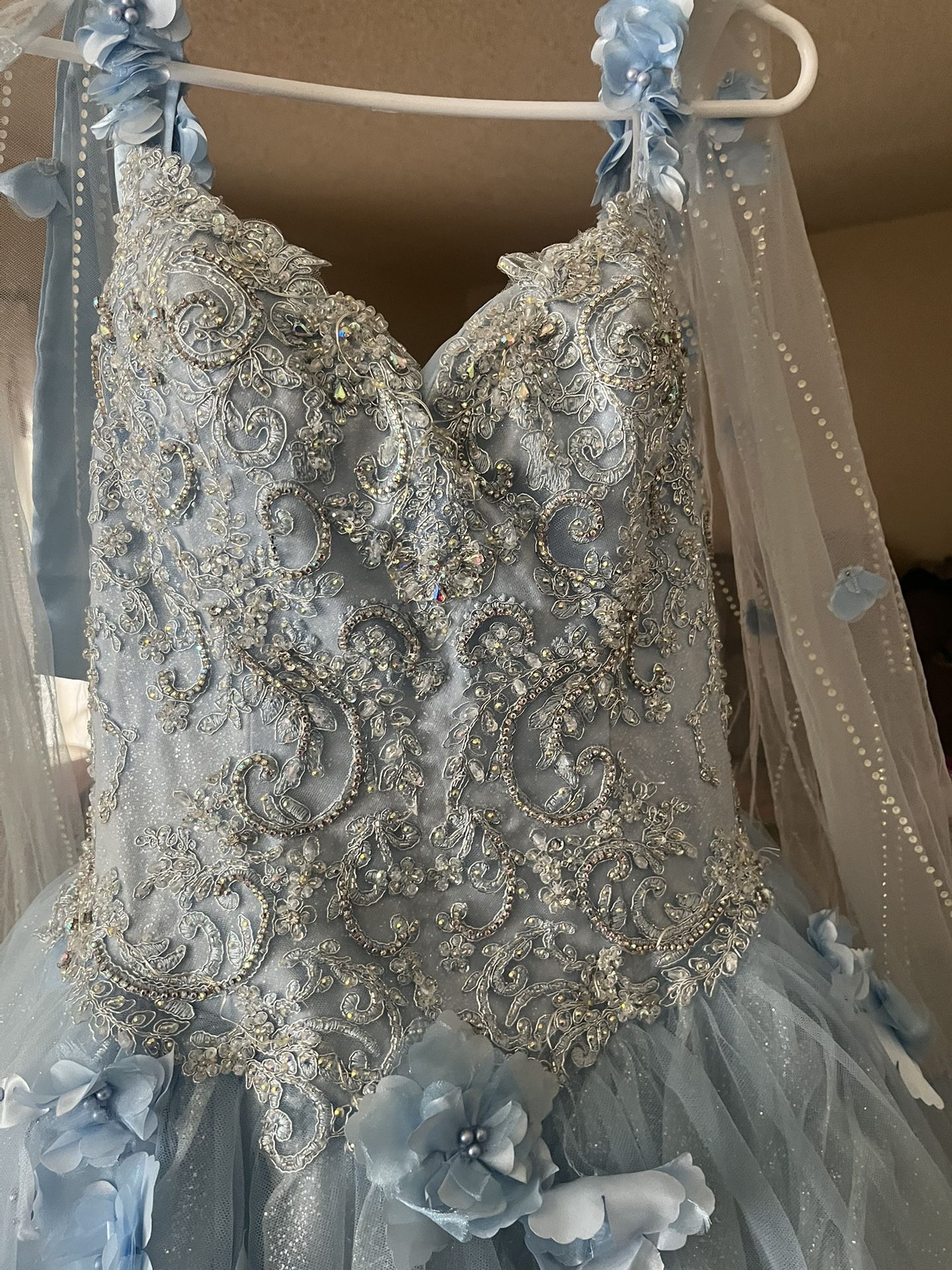 Quinceanera dress