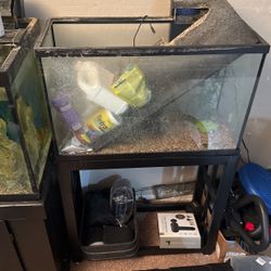 29 Gal Fish Tank With Metal Stand No LID