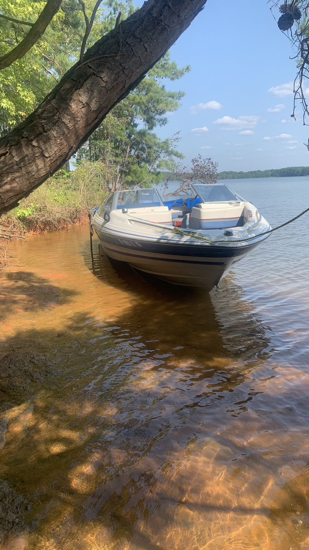 1988 Byliner Boat