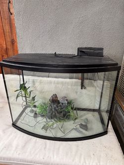 Fish tank