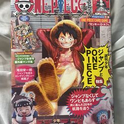 One piece luffy promo
