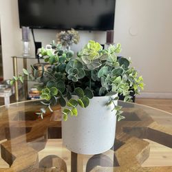Fake Plant