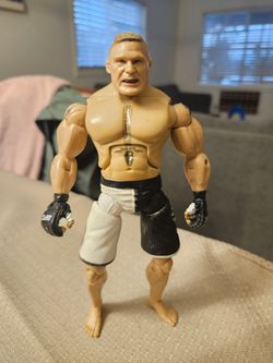 Brock lessnar UFC jackks Pacific 2009