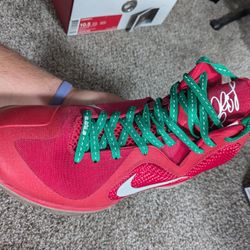 Lebron Christmas 9's 