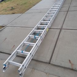 40 Ft Ladder