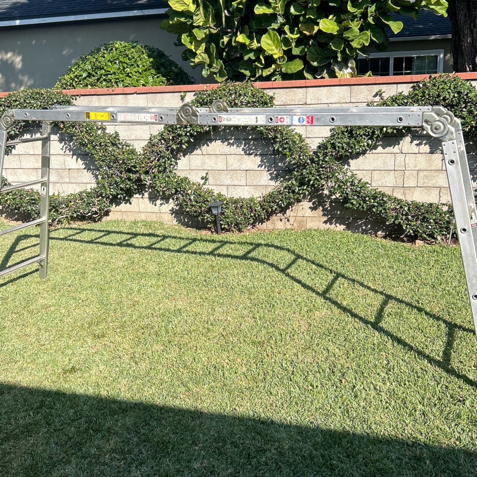 Multi Position Ladder 