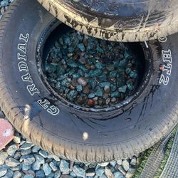 Tqke Both Tires For $40