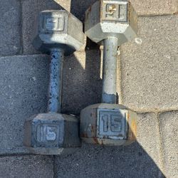  Gym 45 And 15 Pound Dumbbells 