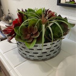 Metal Tray With Succulent Plants 