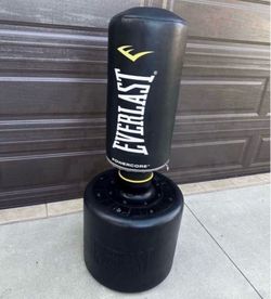 Everlast Powercore exercise like new
