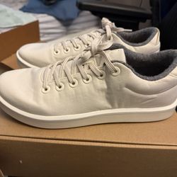 AllBirds Shoes Size 11M