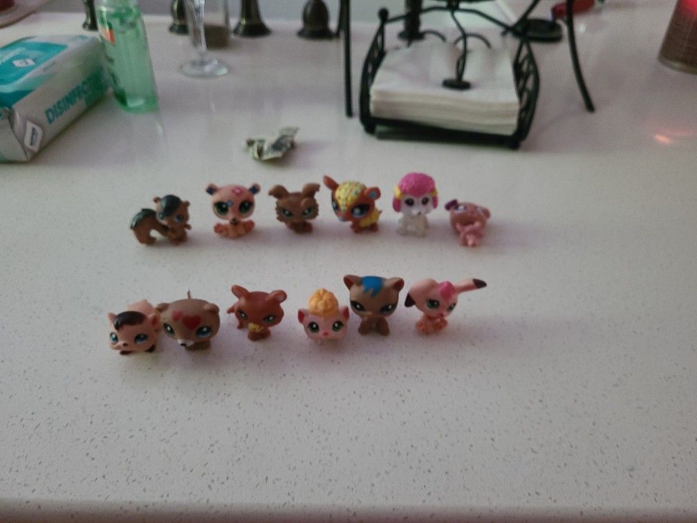 Lps Lot!!! 12 Pc