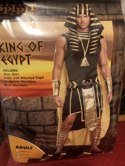 Halloween costume