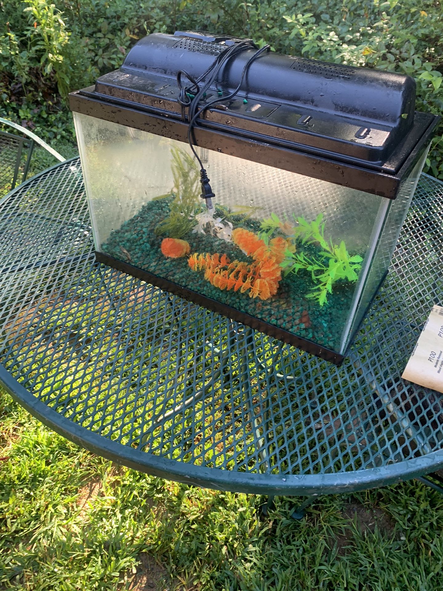 10 Gallon Tank