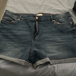 Size 2 X jean shorts