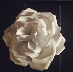 Made to order card stock Roses for photo backdrops