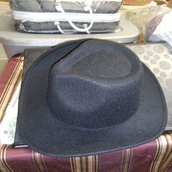 Felt Cowboy Hats Brown & Black