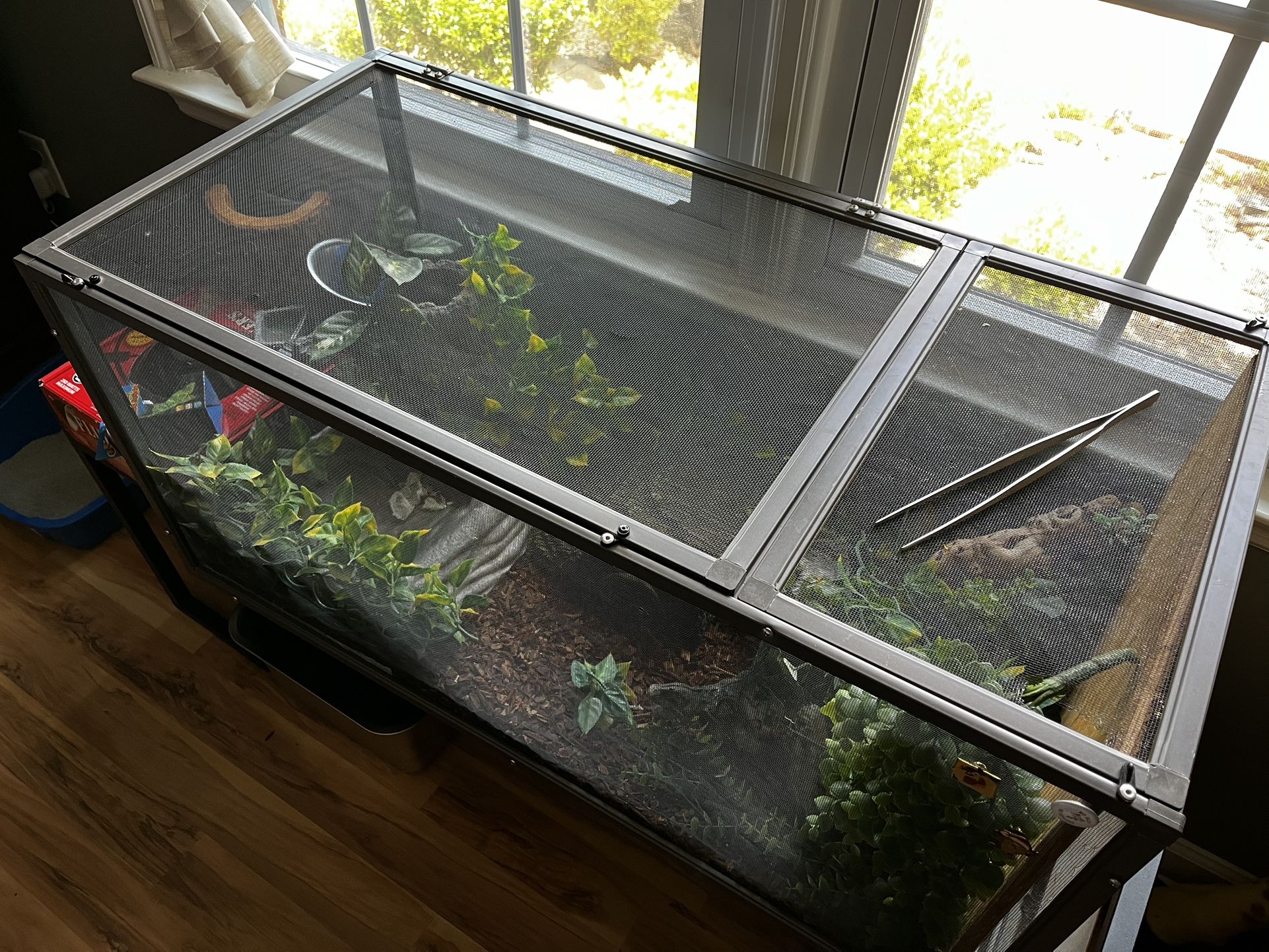 Large Terrarium Setup – Fully Equipped for Reptiles