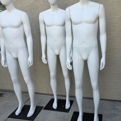 Mens Mannequin $150 Each