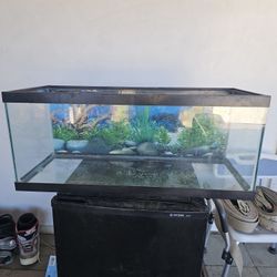 Fish Or Reptile Tank Good Condition 