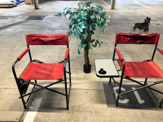 FREE- 2 ea Folding lawn / deck chairs with realistic decorative plant