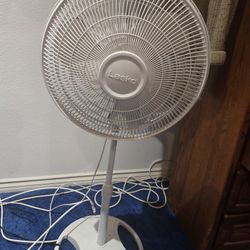 Fan