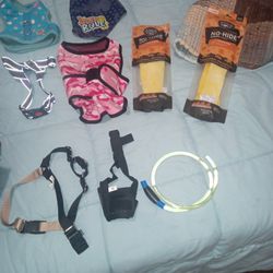 Dog Vests, Glow In Dark Collar, Etc.