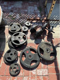 Weights, Rack, Barbell, Dumbells, Bench