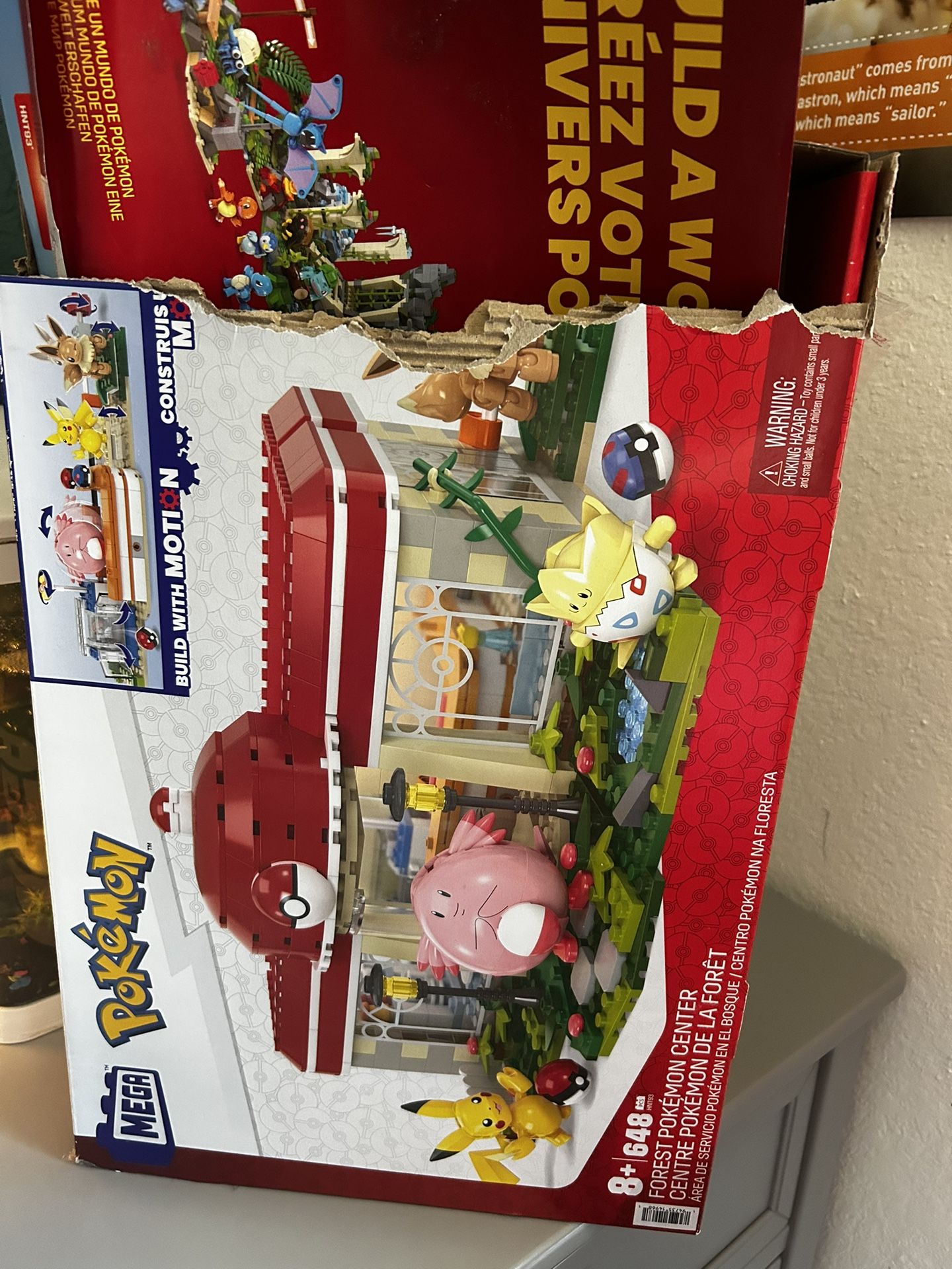 Pokémon Lego Set, Pokémon Book Series And Lava Lamp