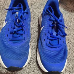 Men's Nike Revolution Running Shoes Size 7