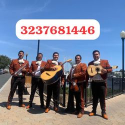 Trumpet Violín Mariachi