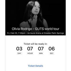 Olivia Rodrigo GUTS Tour Ticket