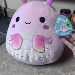 Brand New Squishmallows For Sale 