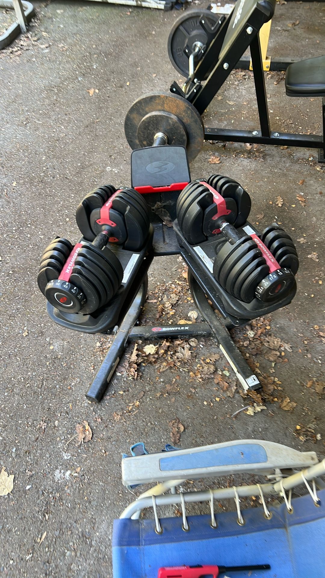 Bowflex 552 Adjustable Dumbbells w/ Media Stand
